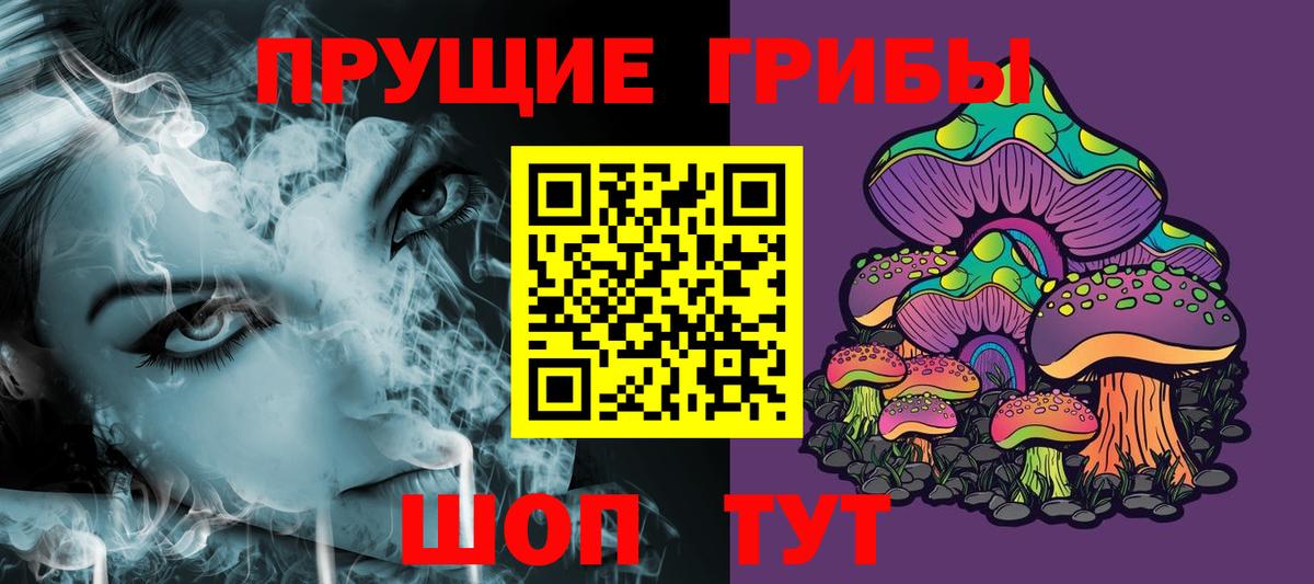Новокубанск  Галлюциногенные грибы Psilocybine cubensis  закладки  Вход с VPN 