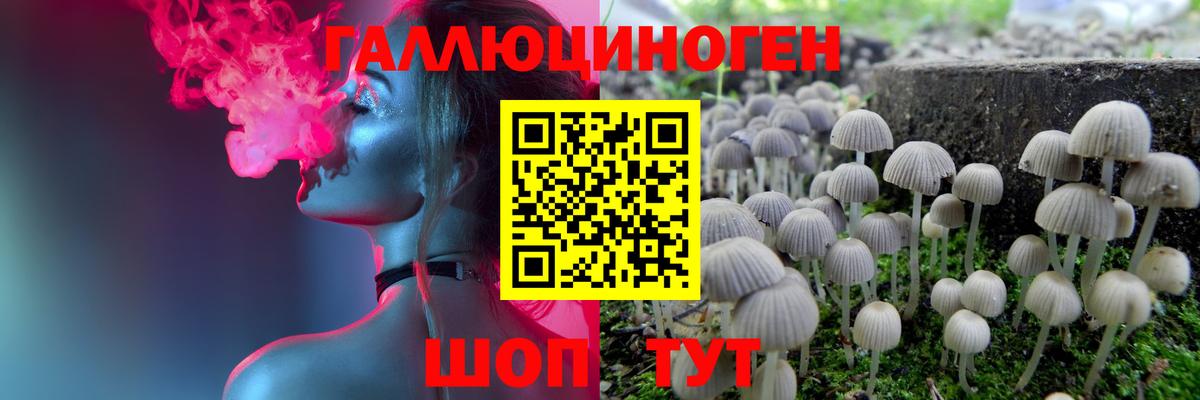 Псилоцибиновые грибы ЛСД Новокубанск