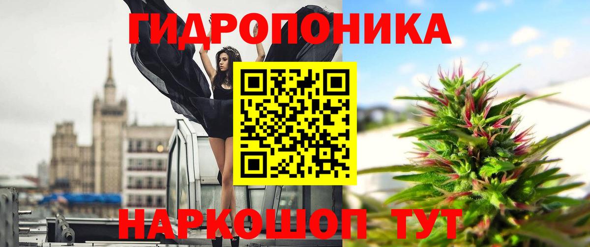 Бошки Шишки Bruce Banner Новокубанск